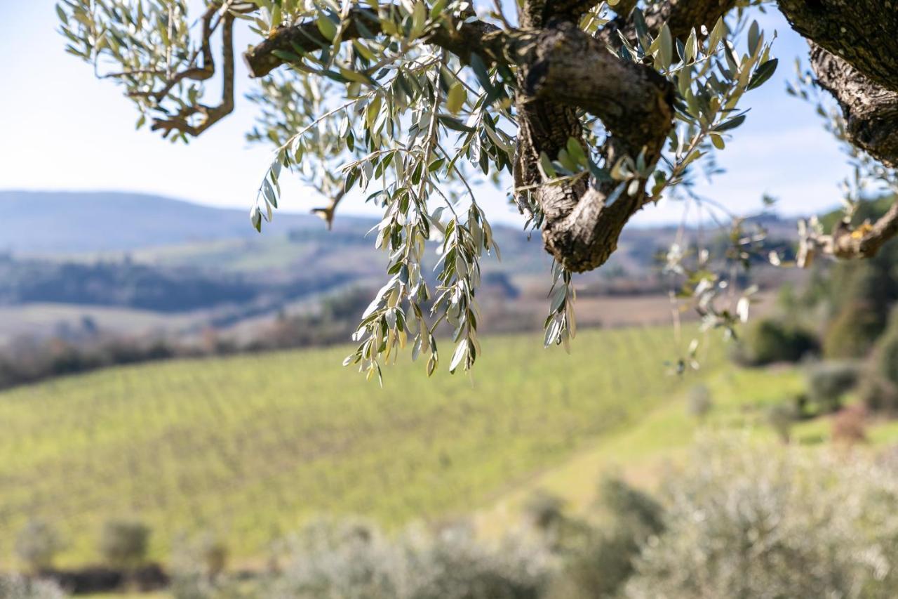 Il Castro Luxury Apartments San Gimignano Dış mekan fotoğraf